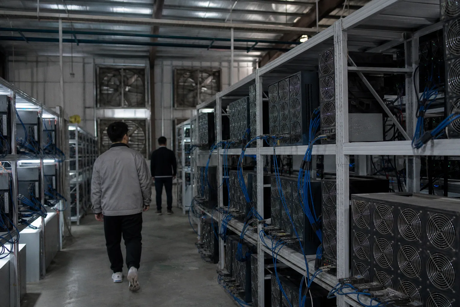 The Infrastructure Dividend: Why Crypto's Quietest Companies May Deliver the Biggest Impact